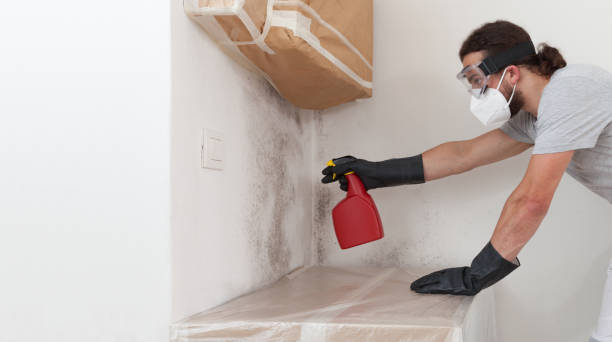 Professional Basement Mold Remediation technician working in Gaston, NC