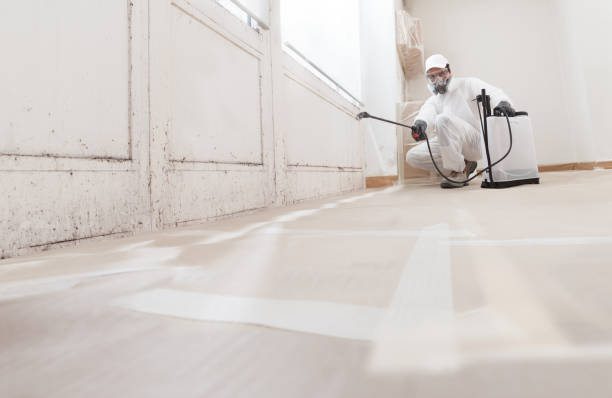 24/7 Emergency Basement Mold Remediation experts in Gaston, NC