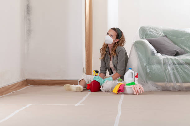 Reliable Basement Mold Remediation contractor in Gaston, NC by WQB Mold Removal